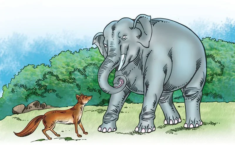 The fox and the elephant