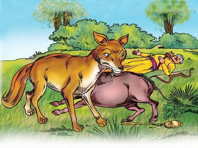 The Jackal and the Arrow