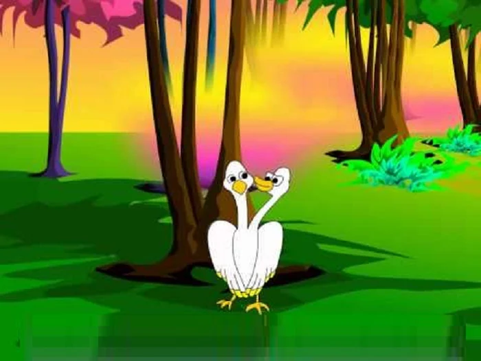 A bird with two heads