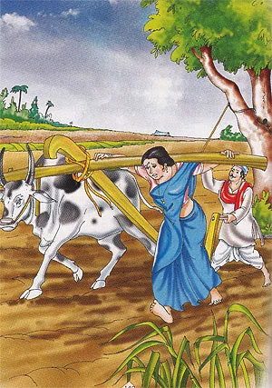 Crop Belongs to Owner of Field