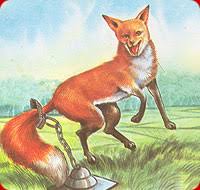 The Fox Without Tail