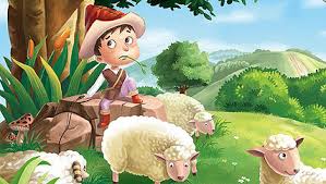 The Shepherd’s Mistake￼