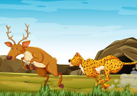 Chasing the Deer