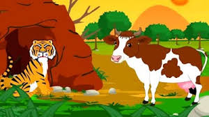 The Cow and the Tiger￼