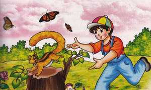 A lesson from nature