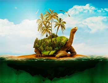 Tortoise Fear – Monster on Island Story